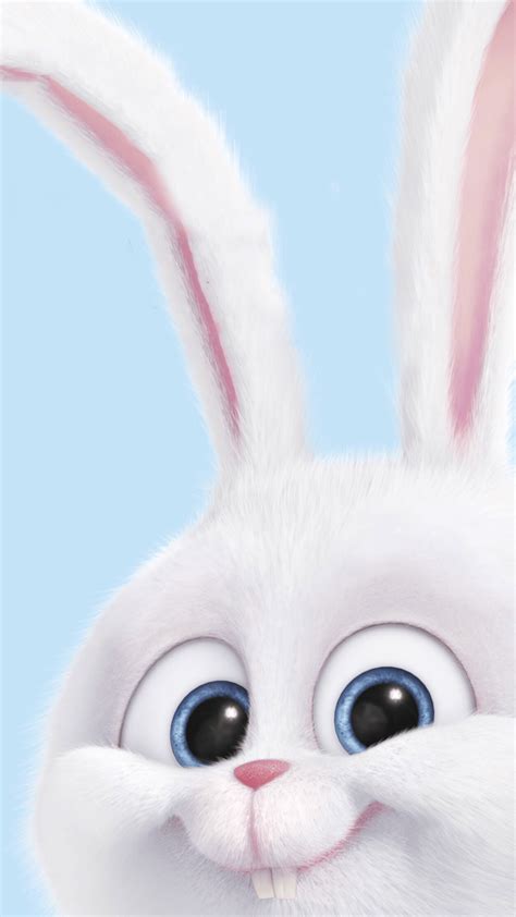 images of cartoon bunny|bunny background cartoon.